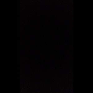 Meet your Posher, Demarius